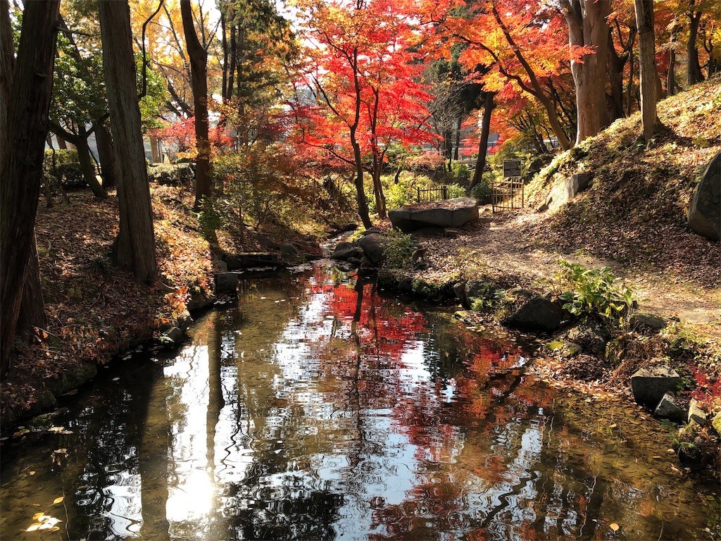 2022年の盛岡城跡公園