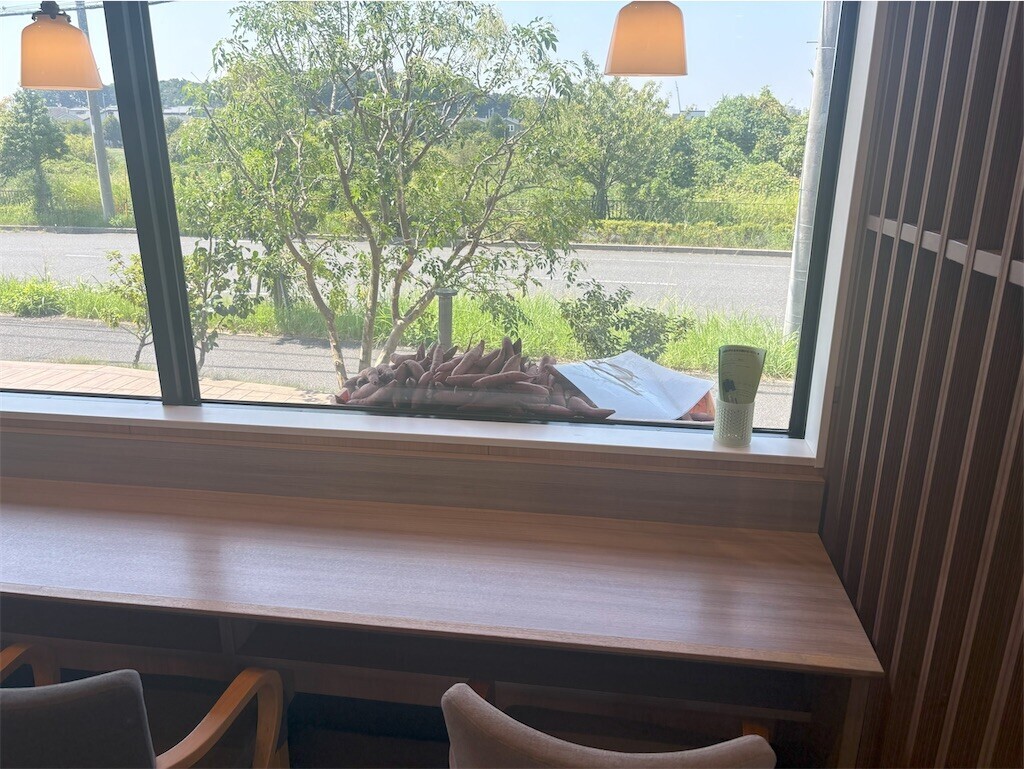 f:id:haneimo:20250921110457j:image