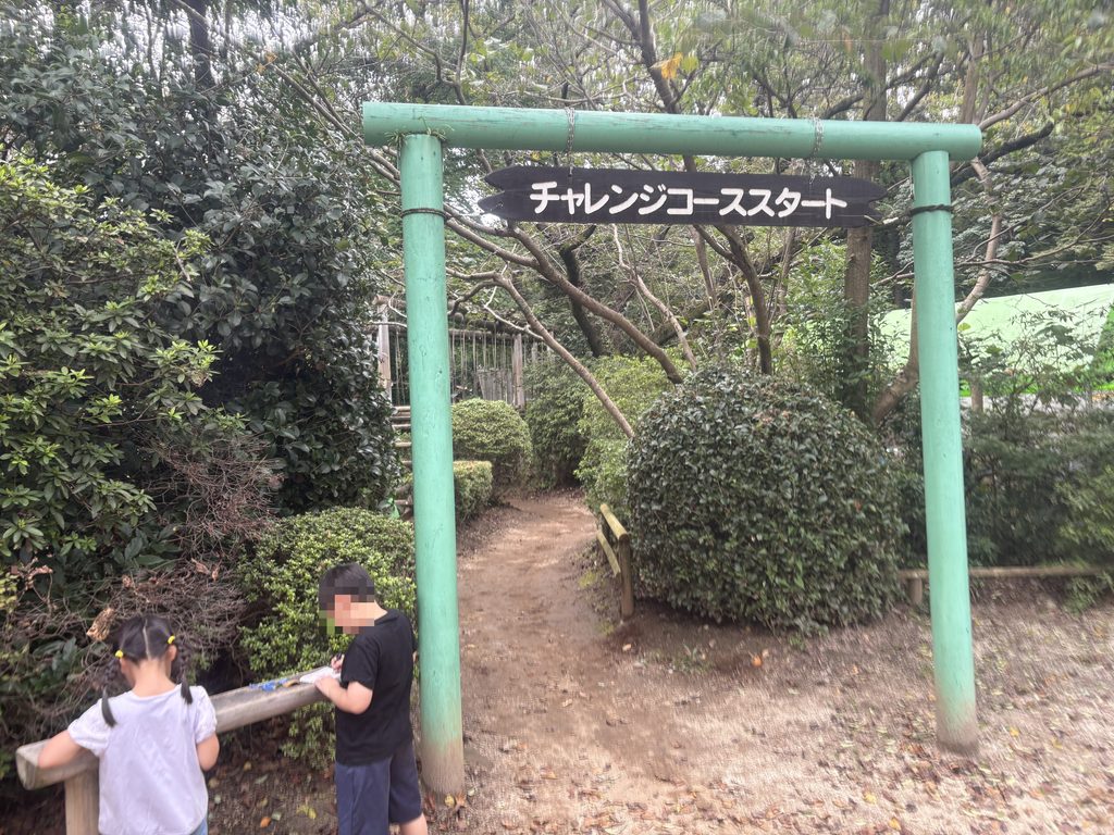 千葉県野田市の清水公園のフィールドアスレチック（チャレンジコース）にいってきました！障害物を紹介します！その２です。